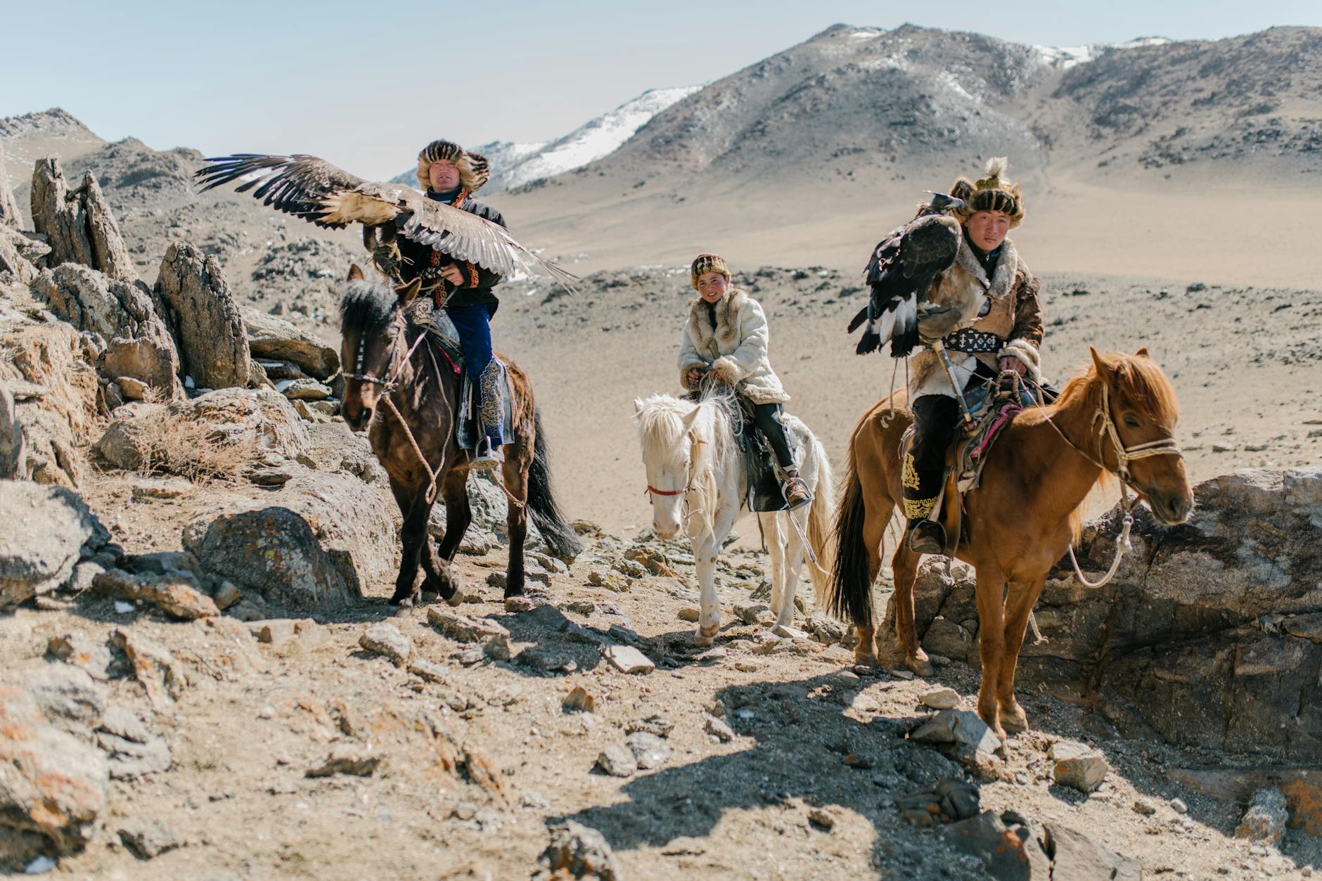 group of mongolian hunters with eagles riding horses in highland